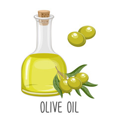 Olive oil and twigs with olives and leaves. Food illustration, vector