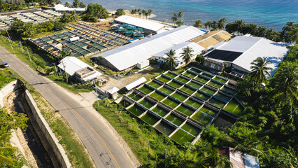 Aerial of a commercial fish pond farm. A large scale private hatchery of milkfish, tilapia, shrimp...
