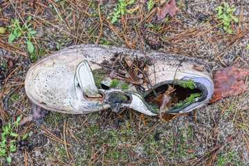 trash from one dirty gray leather sneaker on the ground in nature