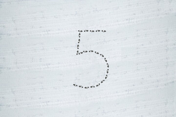 A number 5 written in the snow. Winter writings.