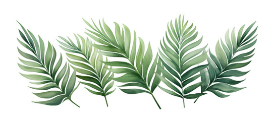 Tropical leaves border in watercolor style	
 isolated on transparent background
