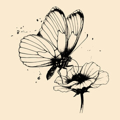 Hand drawn butterfly on a flower - High quality elegant realistic drawing