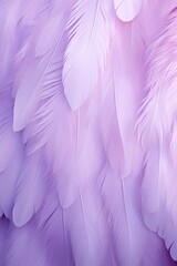 Fototapeta na wymiar Lilac pastel feather abstract background texture
