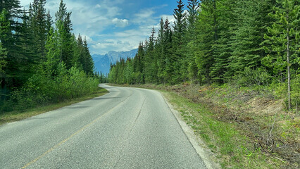 Fototapeta na wymiar Driving along Miette Hot Springs Road in Jasper National Park near Jasper, AB Canada.