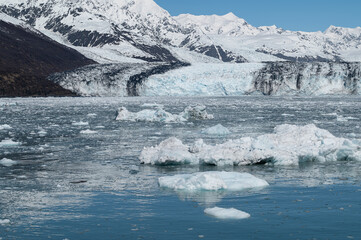 Growlers (small iceberg) with the west end of Harvard tidewater glacier in College Fjord behind, Alaska, USA