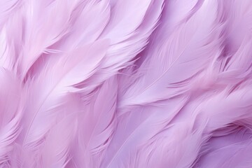 Fototapeta na wymiar Lilac pastel feather abstract background texture