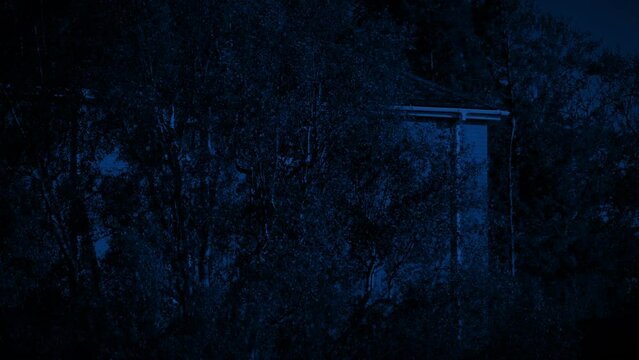 Building Behind Trees On Windy Night