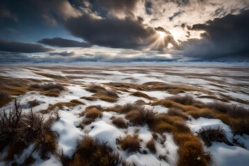 The rough, icy terrain of the Arctic tundra under a cloudy sky.