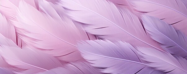 Mauve pastel feather abstract background texture