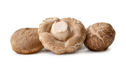 Fresh and dry shiitake mushrooms in stack or pile isolated on white background with clipping path