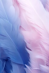 Fototapeta na wymiar Navy pastel feather abstract background texture