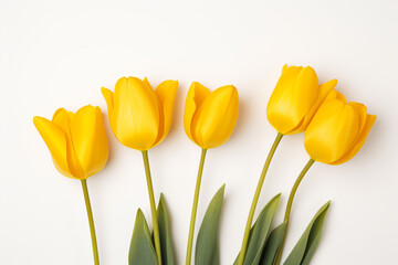 photography of some yellow tulip flowers on a white background, in the style of playful compositions created with Generative Ai