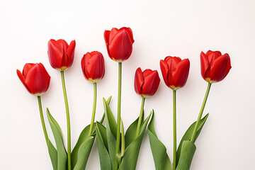 photography of some red tulip flowers on a white background, in the style of playful compositions created with Generative Ai