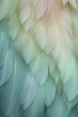 Olive pastel feather abstract background texture
