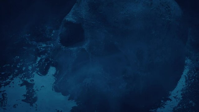 Skull In Dark Swamp With Mist
