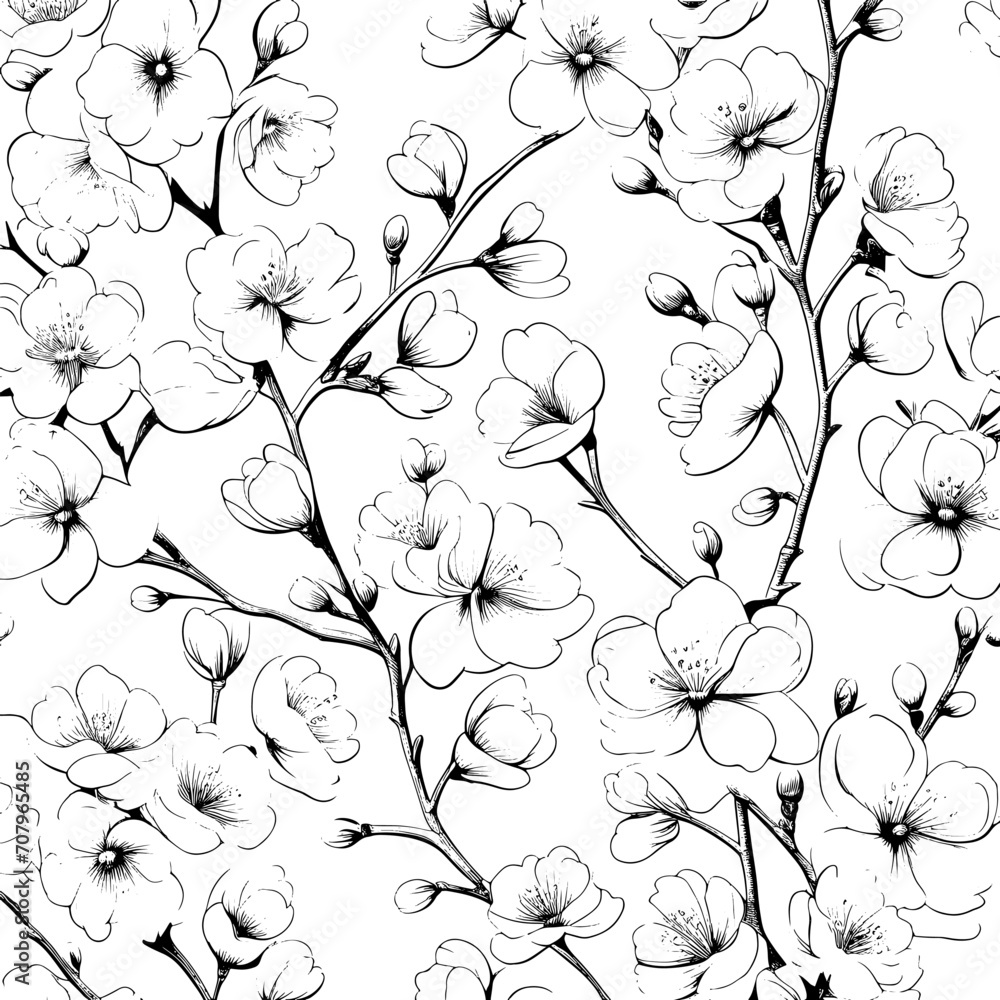 Wall mural Cherry blossom flower and leaf drawing illustration with line art on white backgrounds. - Wall murals