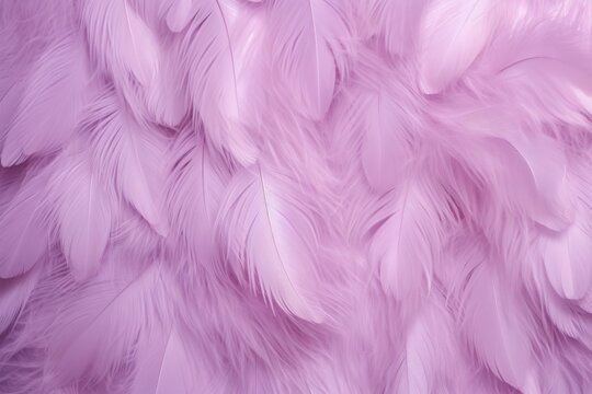 Purple pastel feather abstract background texture © GalleryGlider