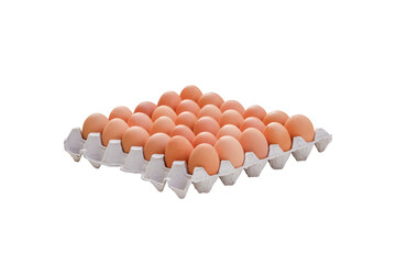Fresh chicken eggs in carton egg tray isolated on transparent background, png file