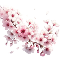 美しい桜の枝と花びら | Genrative Ai