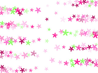 Rain Lily rustic flowers vector design. Pretty meadow blossom shapes isolated. Mother's Day backdrop. Sweet flowers Rain Lily minimal bloom. Summer daisies.