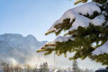 Evergreen tree covered with snow on a cold winter day in Zakopane, Poland. Giewont mountain massif in background. Prominent peak in the Tatra Mountains range. Scenic wintry landscape. - obrazy, fototapety, plakaty