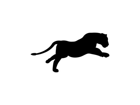 Female Lion icon vector. Female Lion vector design and illustration. Female Lion silhouette isolated white background