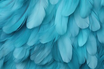 Turquoise pastel feather abstract background texture - obrazy, fototapety, plakaty
