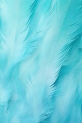Fototapeta na wymiar Turquoise pastel feather abstract background texture