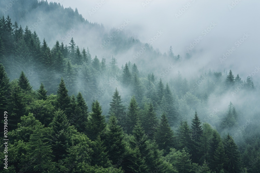 Poster A misty forest landscape with fog covering the trees. Perfect for creating a mysterious and atmospheric setting. Ideal for backgrounds, nature-themed projects, and storytelling visuals