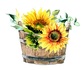 Rustic metallic can with sunflowers bouquet - watercolor illustration. Hello Autumn hand drawn illustration isolated on white background. Picture for a postcard, souvenir, decor, logo, branding. 