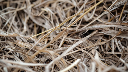 Dry straw texture with interwoven strands close-up.