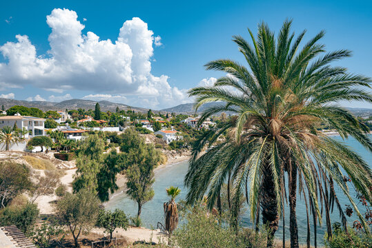 Malerische Meer Landschaft mit Palme im Vordergrund, Hügeln, blauem Himmel und Wolken über dem  Coral Beach, Zypern