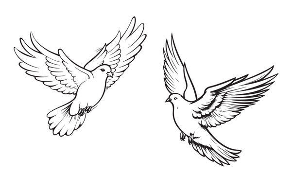 Pair of pigeons sketch hand drawn Vector illustration Birds
