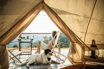 glamping or glamour camping with a dog - obrazy, fototapety, plakaty