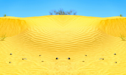 Sand dunes in selective focus in the Astrakhan desert, Russia. Wild desert.Climate warming concept.