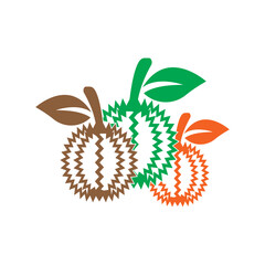 Durian logo icon, vector illustration design