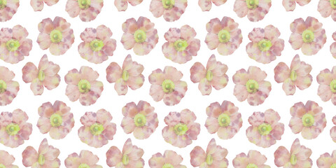 seamless floral pattern of rosehip on white background