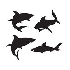 Shark logo icon,design vector illustration
