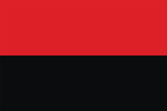 OUN Flag 1941