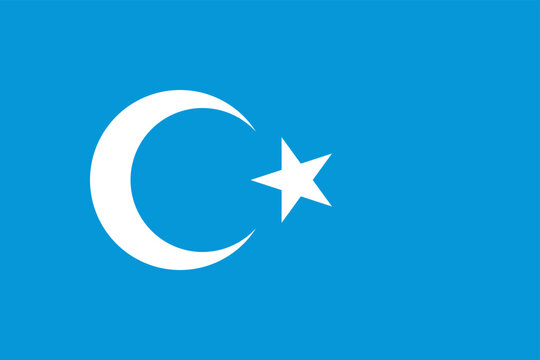 Kokbayraq flag