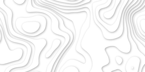 Fototapeta premium Abstract wavy line 3d paper cut white background. abstract white background with smooth wavy layers. silver grid map line topography mount contour map .