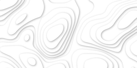 Abstract wavy line 3d paper cut white background. abstract white background with smooth wavy layers. silver grid map line topography mount contour map .
