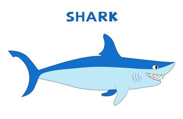Shark. Vector cartoon color image.