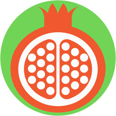 Pomegranate Vector Icon