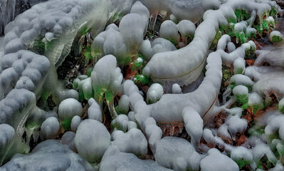 Plants frozen in ice, winter atmosphere, close-up of frozen grass, plants by frozen waterfall, winter and ice - 708018865