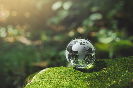 Crystal earth in forest Environment, save world, earth day and conservation Concept.conservation