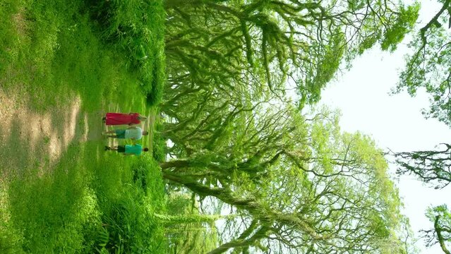 Family stand in a fabulous rainforest in De Djawatan forest at Banyuwangi, East Java, Indonesia. Vertical drone video.
