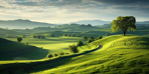 Naklejka premium Iatalian landscapes of green hills