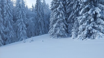 Randonnée dans le Vercors en direction du Sornin et du plateau de la Molière