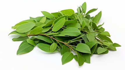 an isolated heap of curry leaves on a pristine white surface, capturing the herb's vibrant green...